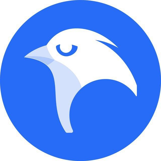 Как провести перевод легально и быстро через Whitebird